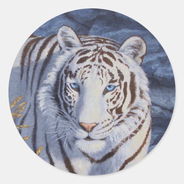 Sticker Rond Beau tigre blanc aux yeux bleu cristal (Devant)