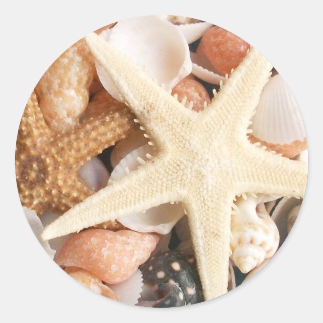 Sticker Rond Beaucoup de coquillages (Devant)