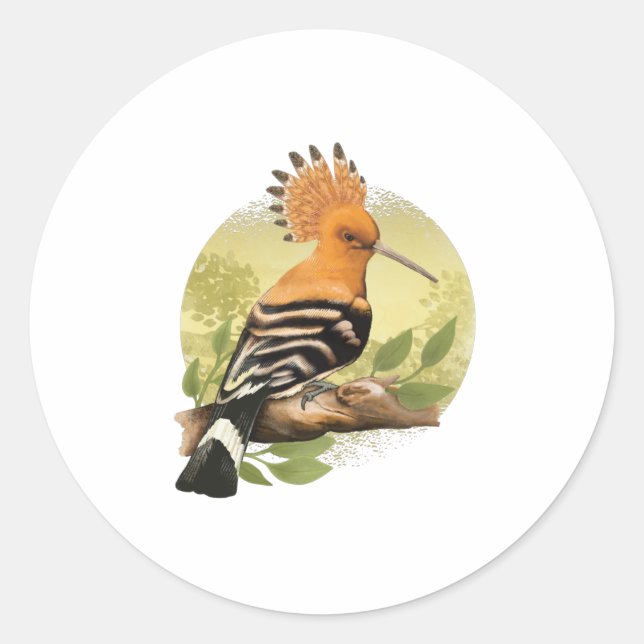 Sticker Rond Beautiful Hoopoe For Ornithologists (Devant)