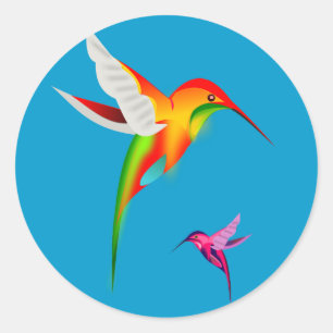 Sticker Rond Beaux Colibri