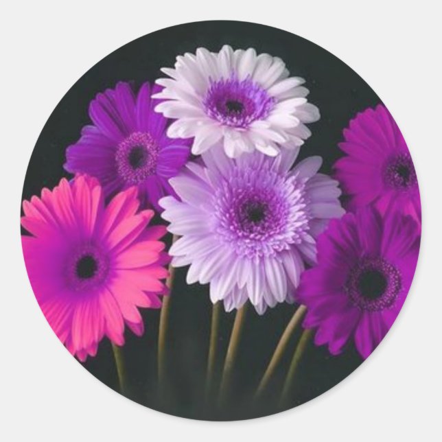 Sticker Rond Beaux Phoques Cadeaux Floraux (Devant)
