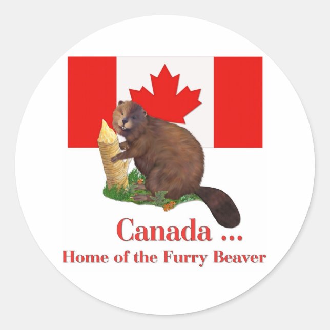 Sticker Rond Beaver Furry (Devant)