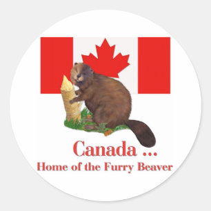 Sticker Rond Beaver Furry