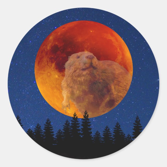 Sticker Rond Beaver Moon en novembre (Devant)