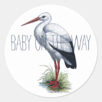 Bébé cigogne en route