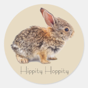 Sticker Rond Bébé Cottontail Rabbit