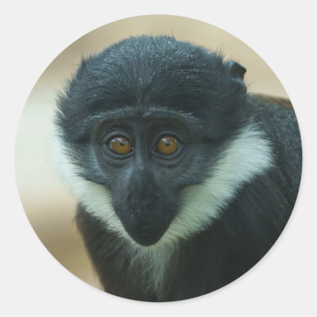 Sticker Rond Bébé L’Hoest Monkey Metal Impression (Devant)