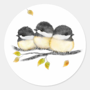 Sticker Rond Bébé mignon oiseau 3 poulets sur la branche de l'a