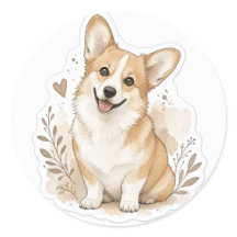 Bébé poilu : Corgi
