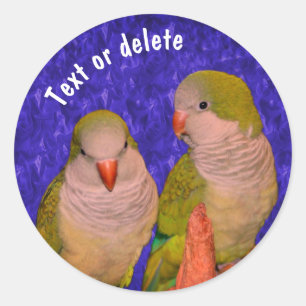 Sticker Rond Bébé Quaker Parrots Animal Personnalisé