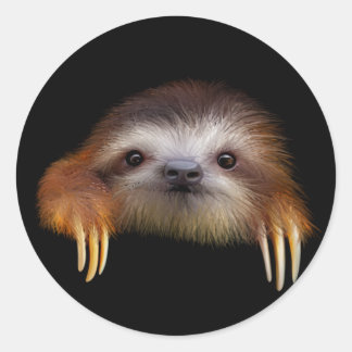 Sticker Rond Bébé Sloth