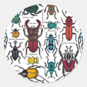 Sticker Rond Beetons sur blanc