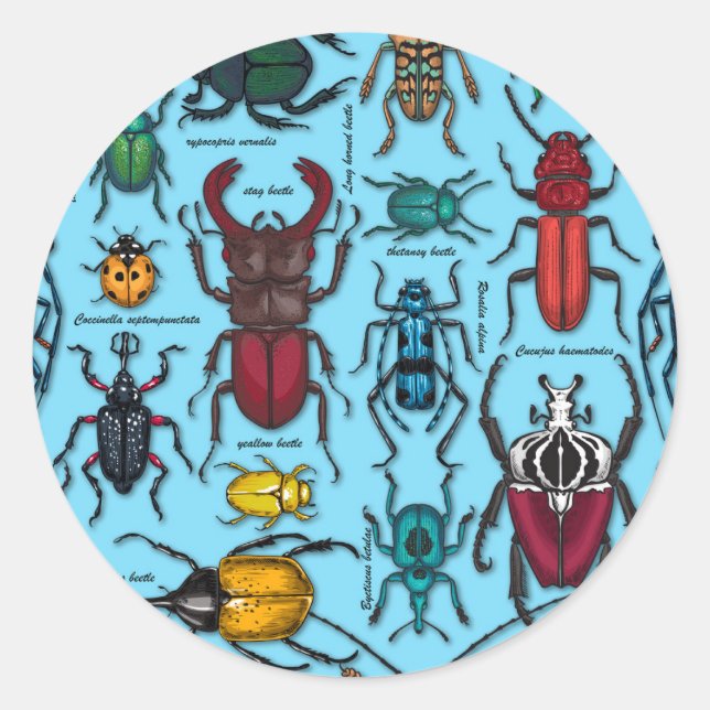 Sticker Rond Beetons sur bleu (Devant)