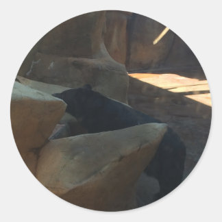 Sticker Rond Bel Ours Noir Grimpeur