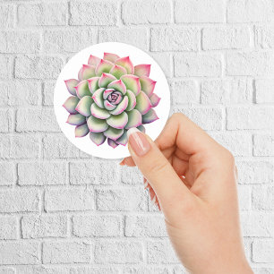 Sticker Rond Belle Aquarelle Succulente