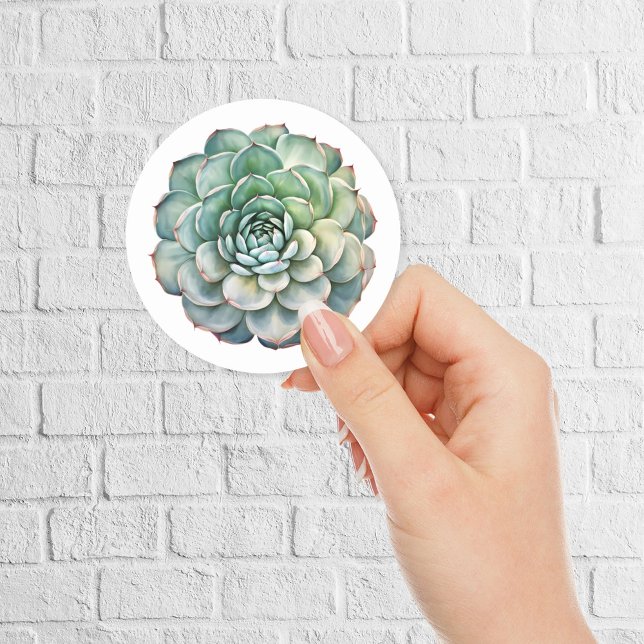 Sticker Rond Belle Aquarelle Succulente (Créateur téléchargé)