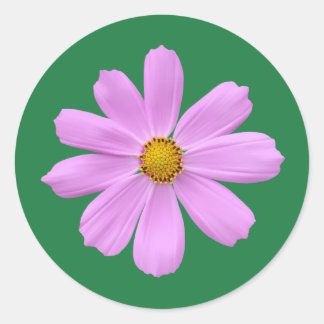 Sticker Rond Belle fleur rose