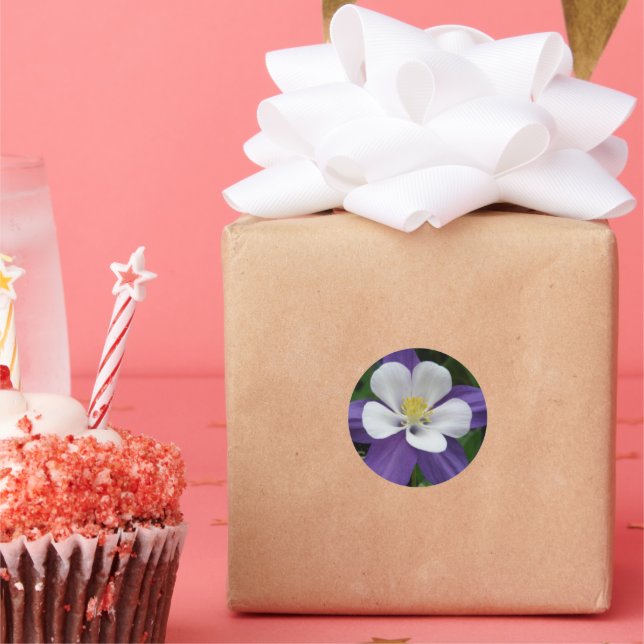 Sticker Rond Belle florale violet blanc Columbine Flower (Fête)