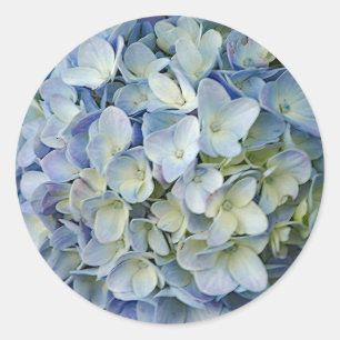 Sticker Rond Belle Hydrangée Bleue Fleurs Photo