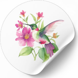 Sticker Rond Belle illustration de colibri