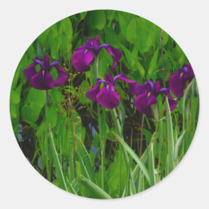 Sticker Rond Belle Iris Violet