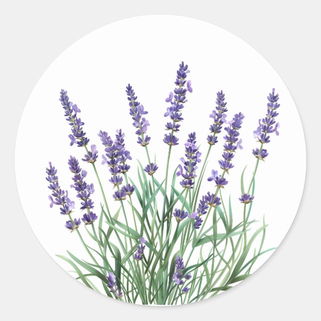 Sticker Rond Belle Lavande Jardin Fleur Floral (Devant)