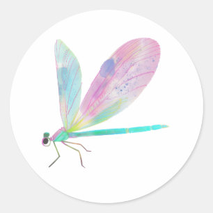 Sticker Rond Belle libellule