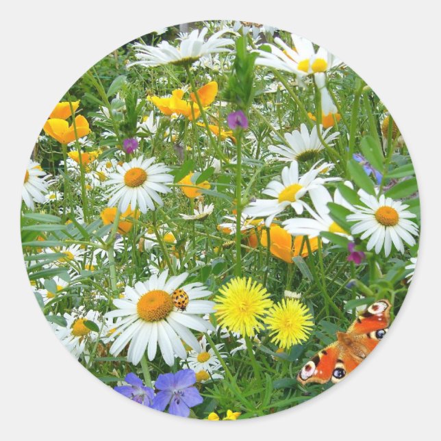 Sticker Rond Belle prairie Fleur sauvage et papillon (Devant)
