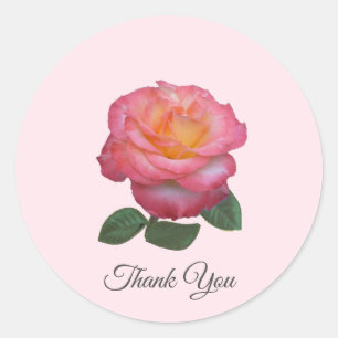Sticker Rond Belle Rose Rose Merci