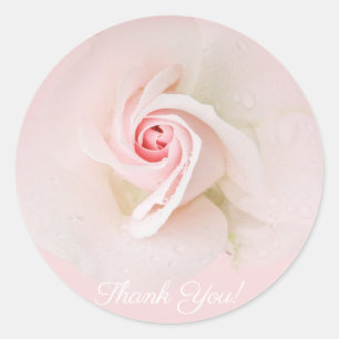 Sticker Rond Belle Rose Rose Pâle Élégante pour une Baby Shower