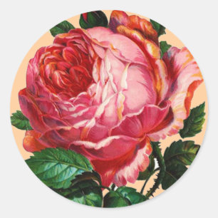 STICKER ROND BELLE ROSE ROSE ROSE