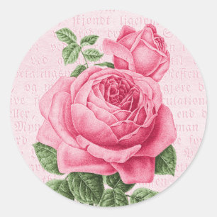 Sticker Rond Belle rose rose vintage
