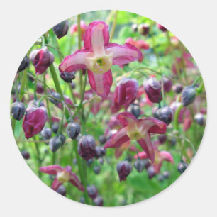 Sticker Rond Belles ailes de fée Fleurs & Buds Printemps Photo