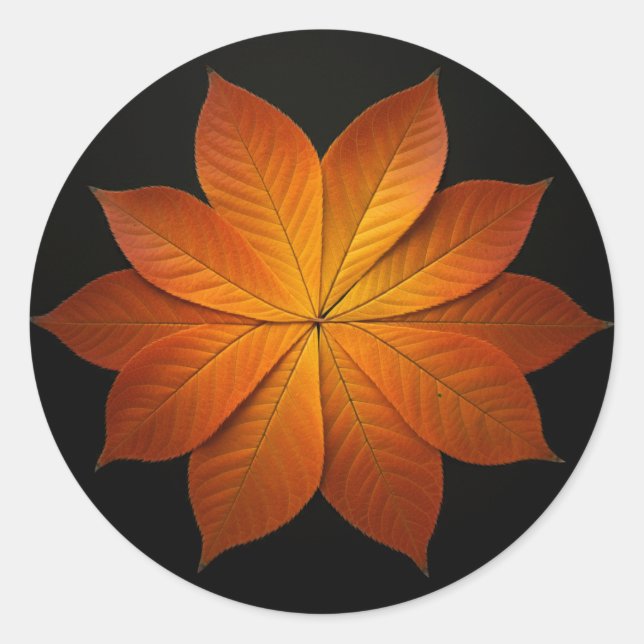 Sticker Rond Belles feuilles automnales (Devant)