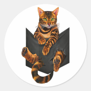 Sticker Rond Bengale Poche d'éponge de chats Bengale Amant de b