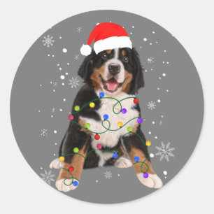 Sticker Rond Berese Mountain Dog Lights Christmas Matching Fam