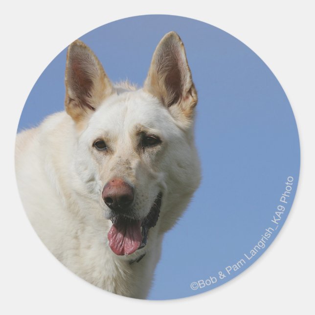 Sticker Rond Berger allemand blanc (Devant)