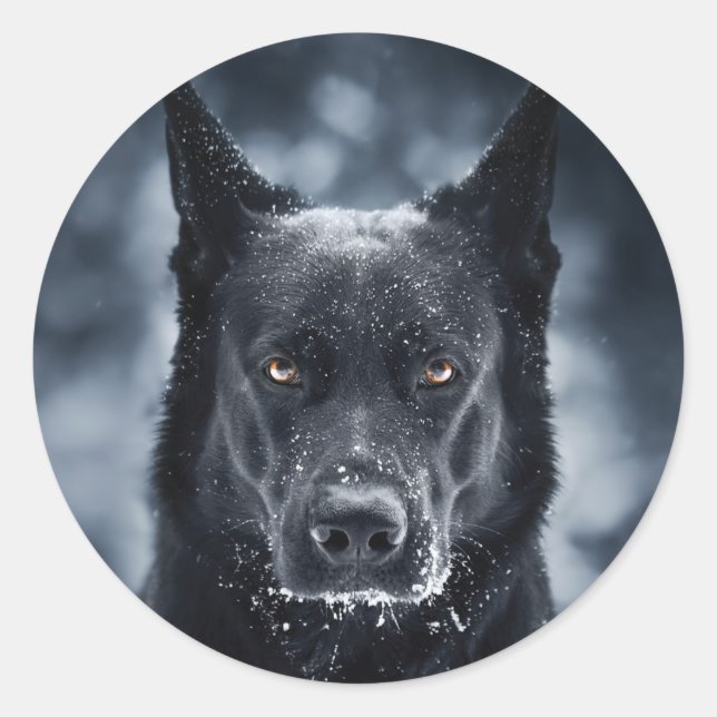 Sticker Rond Berger Allemand Noir (Devant)