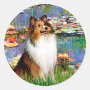 Sticker Rond Berger des Shetland (Bz) - Lys 2