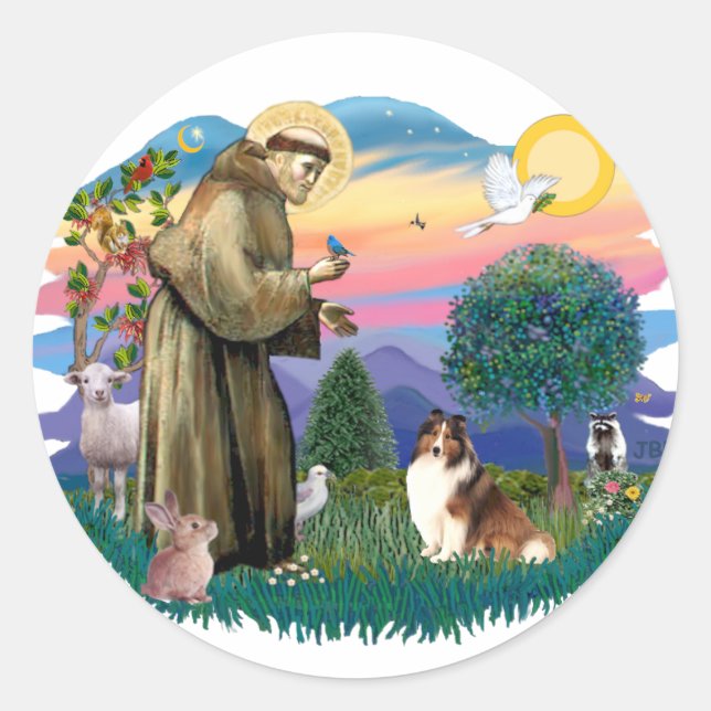 Sticker Rond Berger des Shetland (sable et blanc) (Devant)