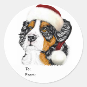 Sticker Rond Bernese Mountain Dog Père Noël Pup Christmas Cadea