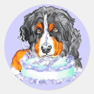 Sticker Rond Bernese Mt Chig Cake Face Anniversaire