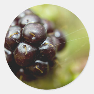 Sticker Rond Berry Nice