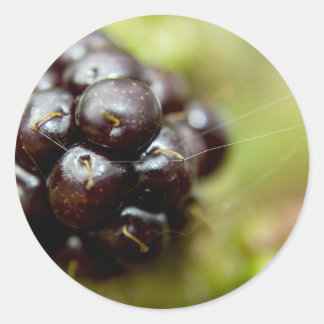 Sticker Rond Berry Nice
