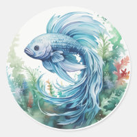 Bêta bleu Poisson Algues vertes