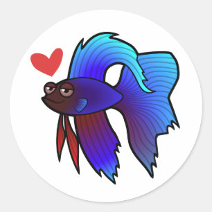 Sticker Rond Betta Fish / Siamese Combattre l'amour du poisson