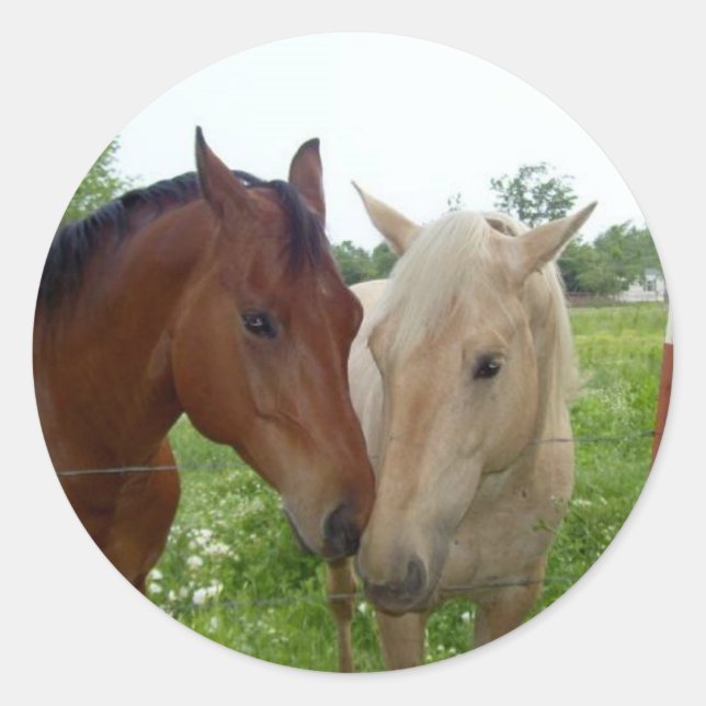 Sticker Rond BFF Best Friends Forever - Chevaux (Devant)