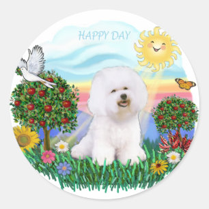 Sticker Rond Bichon Frise