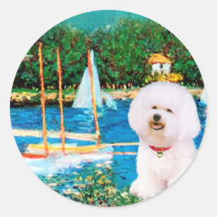 Sticker Rond Bichon Frise 1 - Voiliers 1