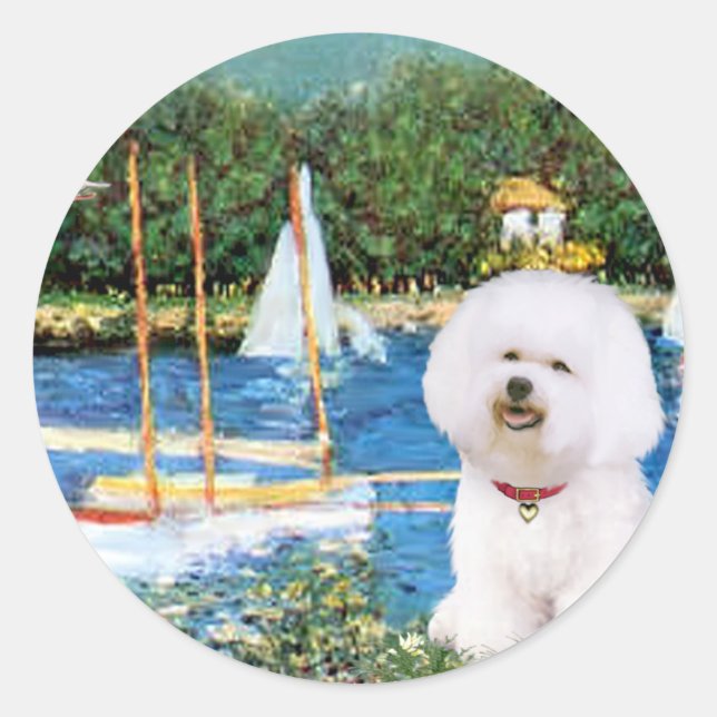 Sticker Rond Bichon Frise 1 - Voiliers 1 (Devant)